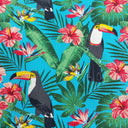  Toucan Blue