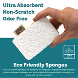 Eco Dish Sponges | Pack of 4 - Leaf & Stone